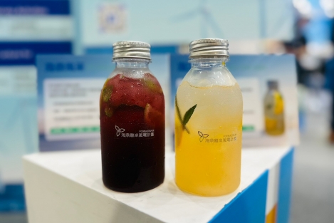 海鼎離岸風電計畫 @ 2023台灣國際智慧能源週 <br> Formosa 3 @ 2023 Energy Taiwan